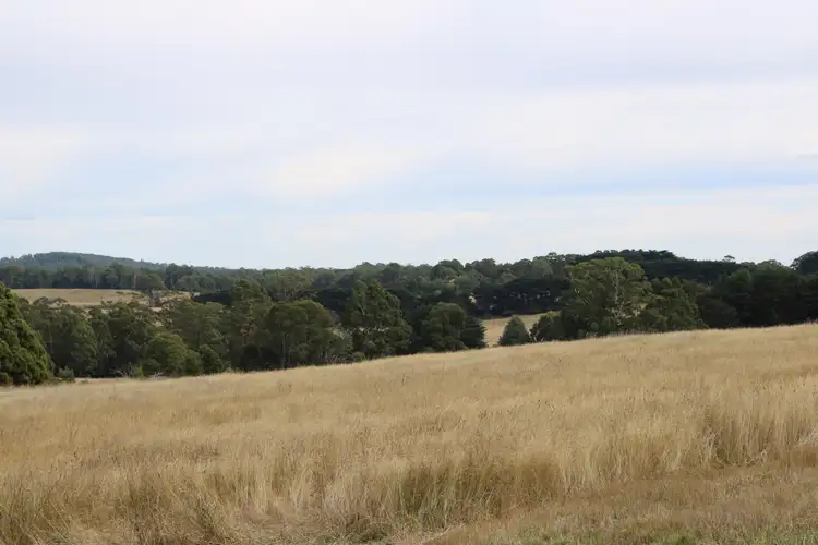 Sixth view of Homely land listing, Paddock 90 Beaches Lane, Newbury VIC 3458