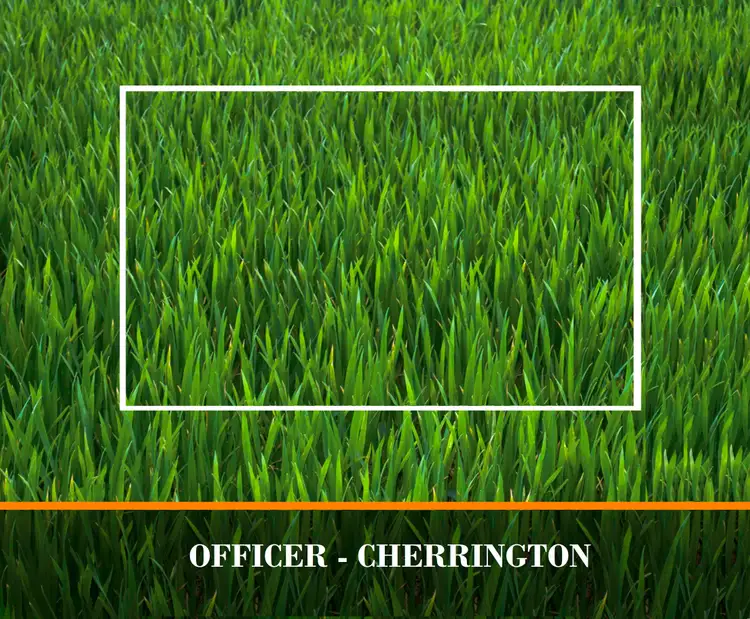 LOT 408 Gleeson Way, Officer VIC 3809