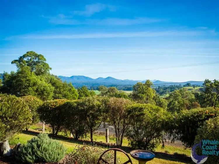 Third view of Homely house listing, 195 Bodalla Park Rd, Bodalla NSW 2545