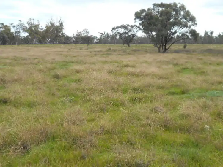 Third view of Homely rural property listing, 1 Swan Hill Road, Barham NSW 2732