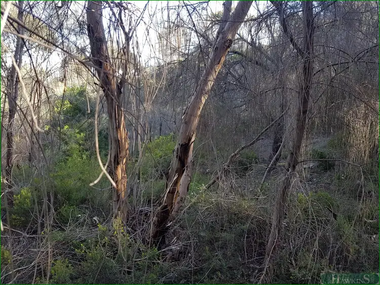 Fourth view of Homely land listing, LOT 104 Bayview Road, American River SA 5221