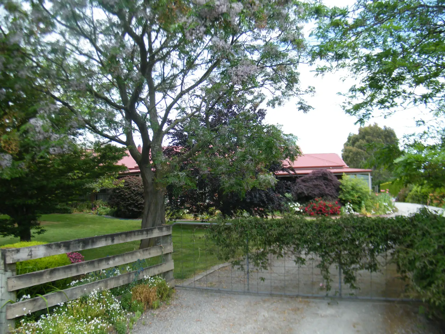 Main view of Homely house listing, 4 Pepperell Drive, Drouin VIC 3818