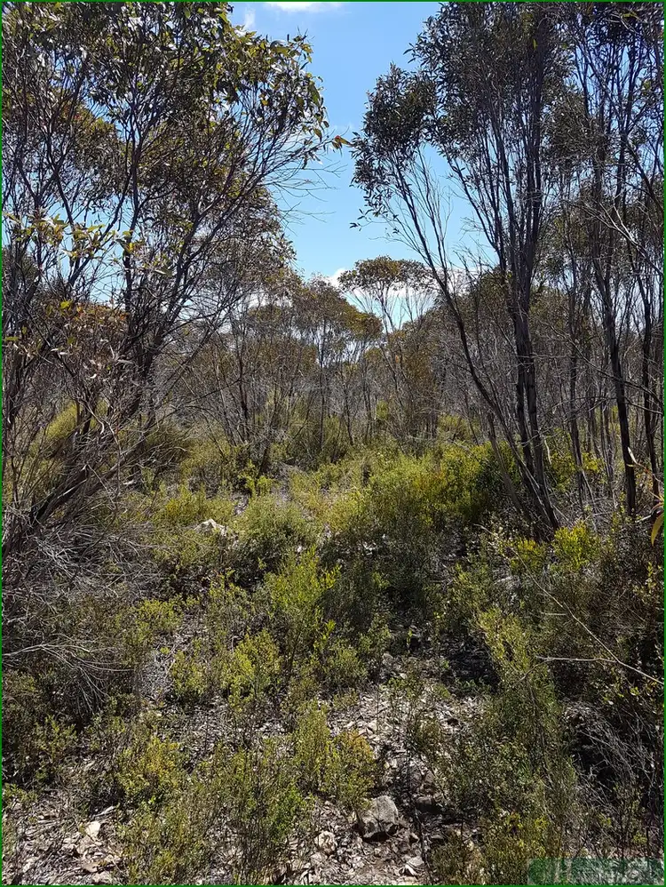 Main view of Homely rural property listing, LOT 91 Elsegood Road, D'estrees Bay SA 5223