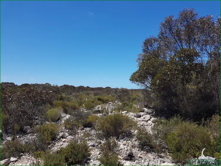 Second view of Homely rural property listing, LOT 91 Elsegood Road, D'estrees Bay SA 5223