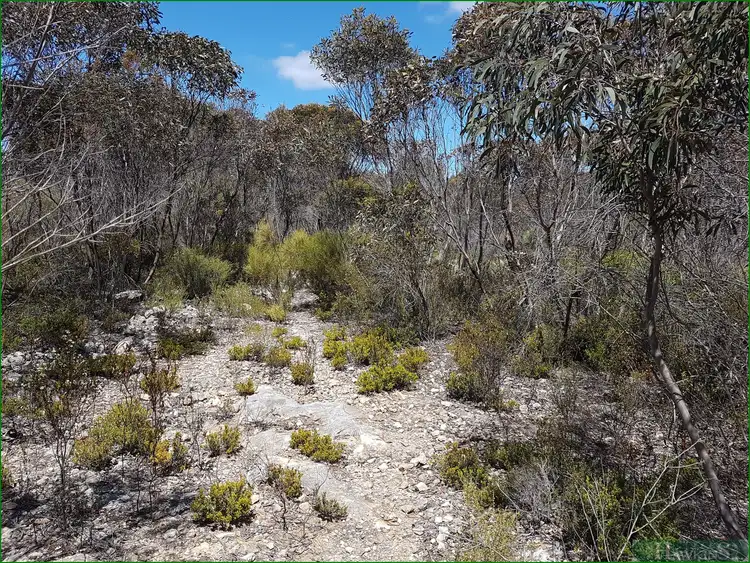 Third view of Homely rural property listing, LOT 91 Elsegood Road, D'estrees Bay SA 5223