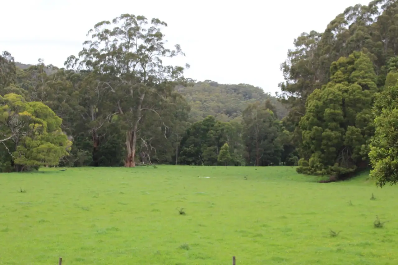Main view of Homely rural property listing, 1160 Lavers Hill-Cobden Road, Chapple Vale VIC 3239