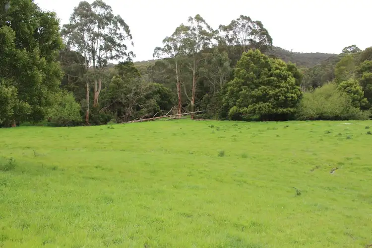 Fourth view of Homely rural property listing, 1160 Lavers Hill-Cobden Road, Chapple Vale VIC 3239