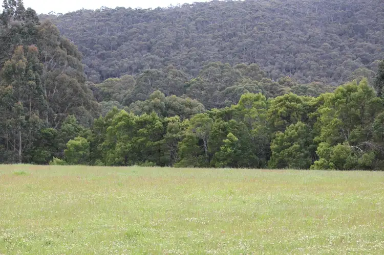 Fifth view of Homely rural property listing, 1160 Lavers Hill-Cobden Road, Chapple Vale VIC 3239