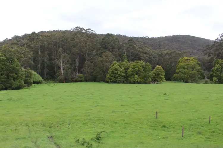 Sixth view of Homely rural property listing, 1160 Lavers Hill-Cobden Road, Chapple Vale VIC 3239