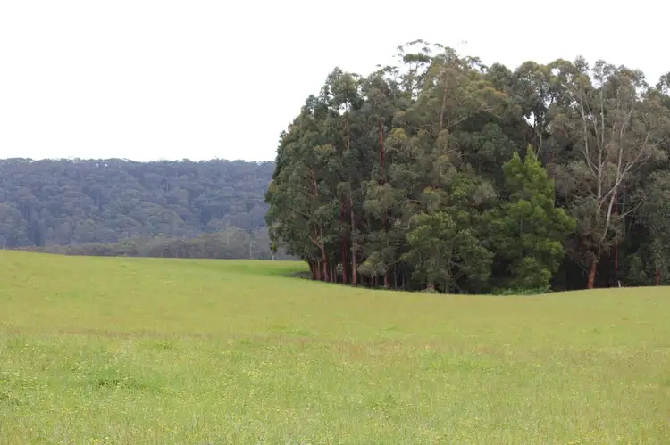 Seventh view of Homely rural property listing, 1160 Lavers Hill-Cobden Road, Chapple Vale VIC 3239