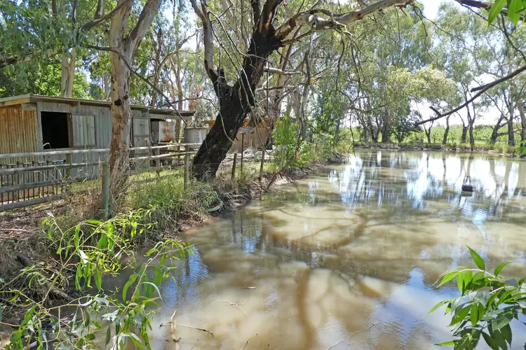 Sixth view of Homely rural property listing, 53 Howards Lane, Kyabram VIC 3620