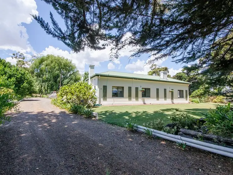 407 McArthur Summer Track, Millicent SA 5280