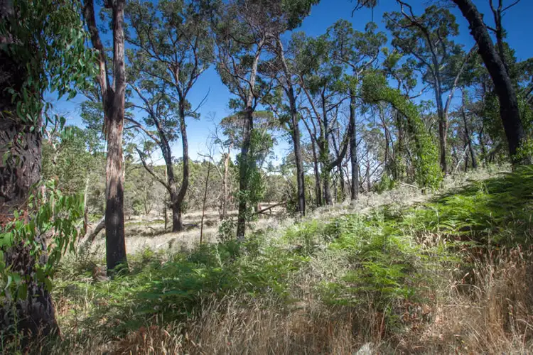 Seventh view of Homely land listing, 496 Youngs Road, Baynton VIC 3444