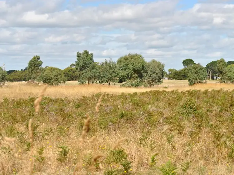 Main view of Homely land listing, LOT 52 Wattle Road, Millicent SA 5280