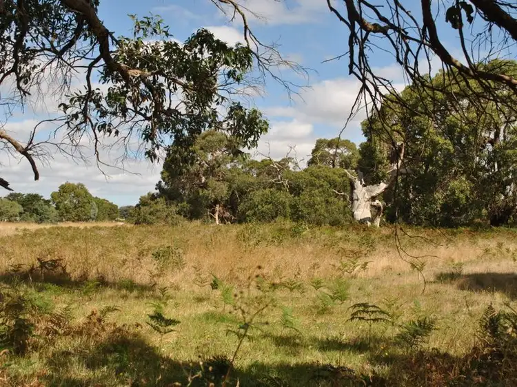 Second view of Homely land listing, LOT 52 Wattle Road, Millicent SA 5280