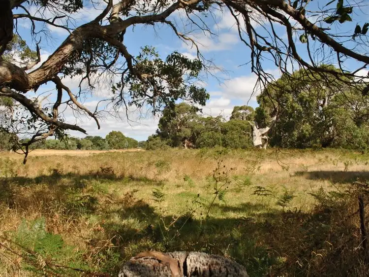 Third view of Homely land listing, LOT 52 Wattle Road, Millicent SA 5280