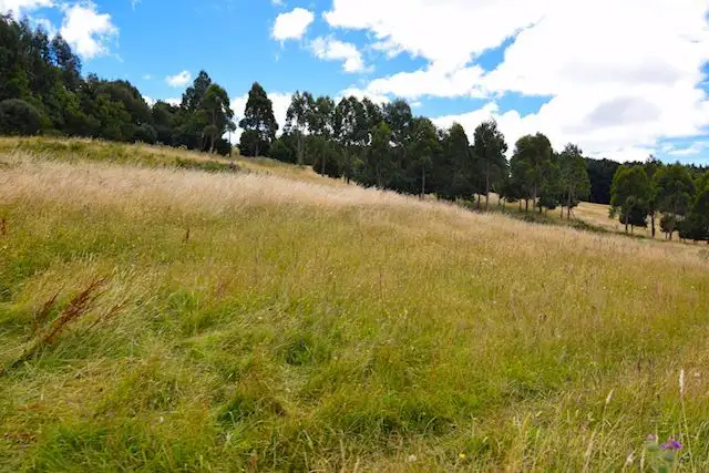 183 South Elliott Road, Elliott TAS 7325
