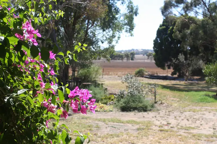Fourth view of Homely house listing, 44 Trewin Road, Goorambat VIC 3725