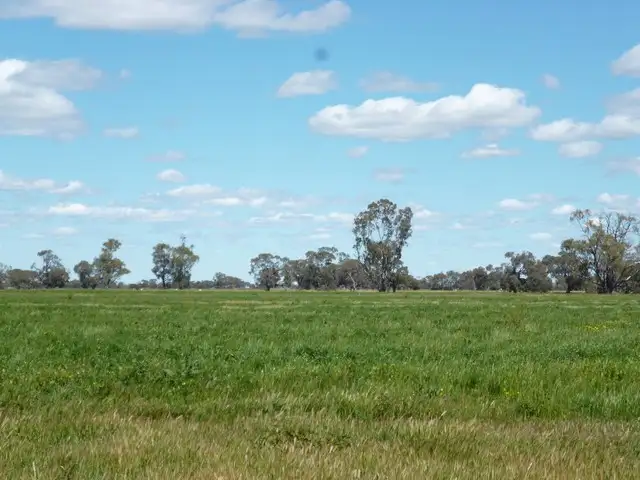 Fifth view of Homely rural property listing, Carwardines Road, Cohuna VIC 3568