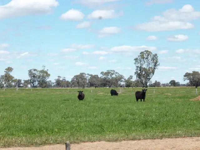 Seventh view of Homely rural property listing, Carwardines Road, Cohuna VIC 3568