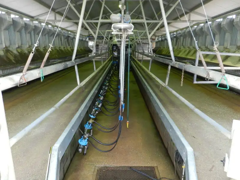 Main view of Homely rural property listing, 53 Schwenkes Road, Cohuna VIC 3568