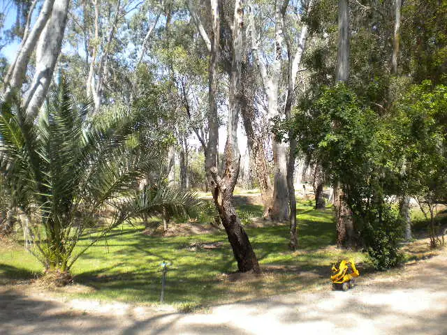 Seventh view of Homely house listing, 601 Cohuna Island Road, Daltons Bridge VIC 3568