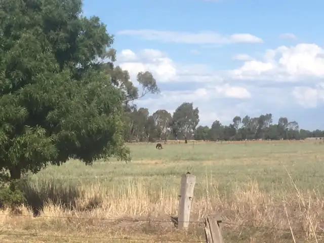 Sixth view of Homely rural property listing, 61 Stone Road, Rochester VIC 3561