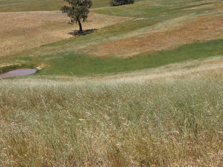 Fifth view of Homely rural property listing, 2A LOT 2A/5393 Goulburn Valley Hwy, Yea VIC 3717