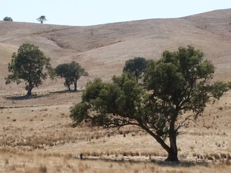 Main view of Homely land listing, Lot 11, 5610 Whittlesea-Yea Road, Yea VIC 3717