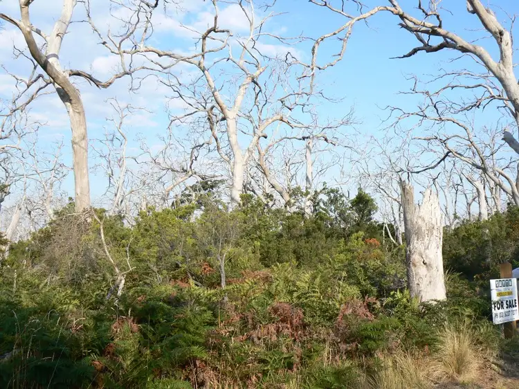Sixth view of Homely land listing, LOT 3 Otway Park, Cape Otway VIC 3233