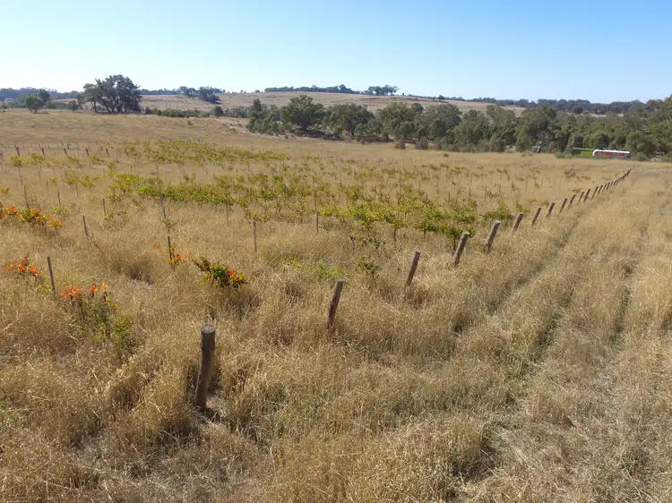 Second view of Homely land listing, LOT 2/438 Adairs Lane, Heathcote VIC 3523