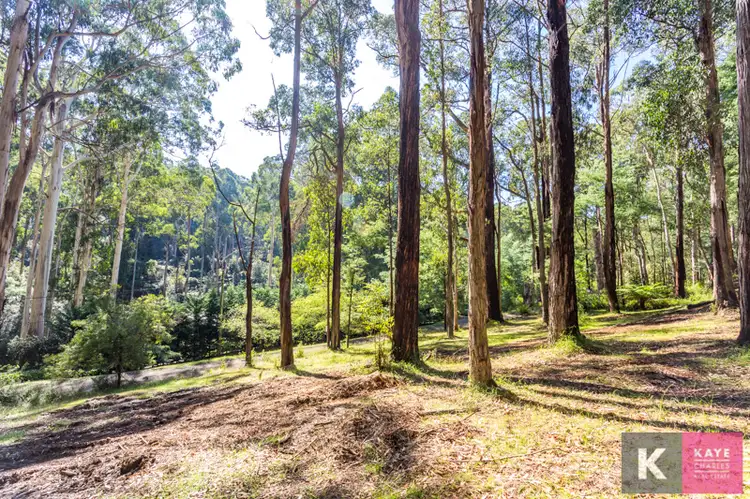 16 Lisheen Road, Cockatoo VIC 3781