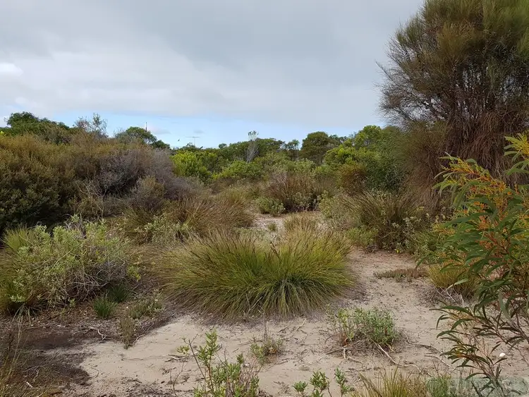 Third view of Homely land listing, LOT 52 Main St, Sapphiretown SA 5222