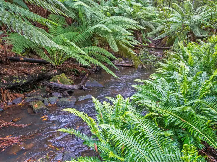 Third view of Homely house listing, 110 Back Cam Road, Somerset TAS 7322