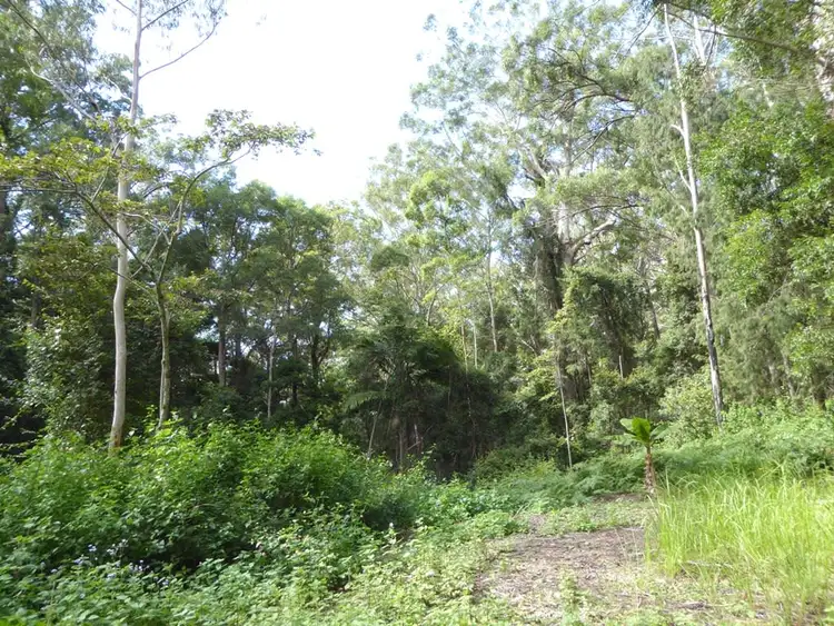 Third view of Homely rural property listing, 400 Goonengerry Mill Road, Goonengerry NSW 2482
