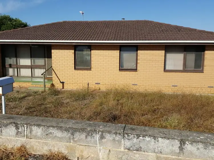 Main view of Homely house listing, 270 Mount Gambier rd, Millicent SA 5280