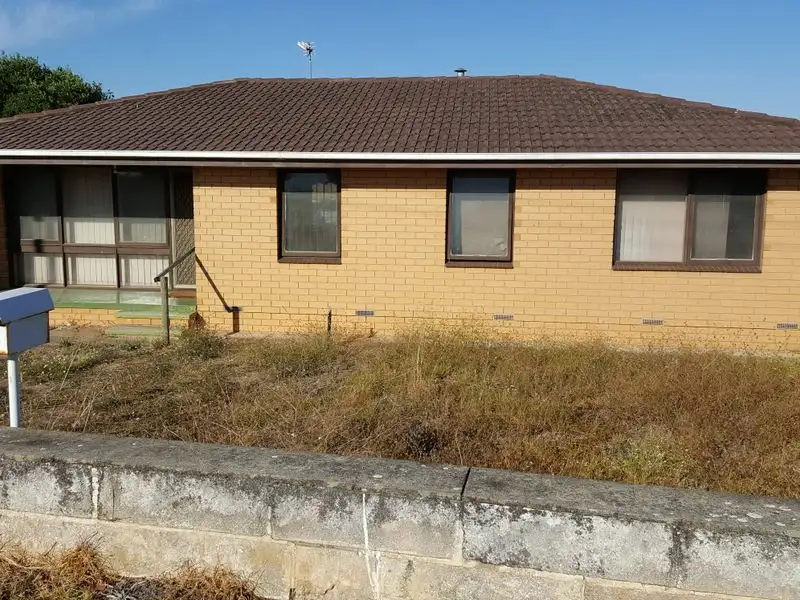 Main view of Homely house listing, 270 Mount Gambier rd, Millicent SA 5280