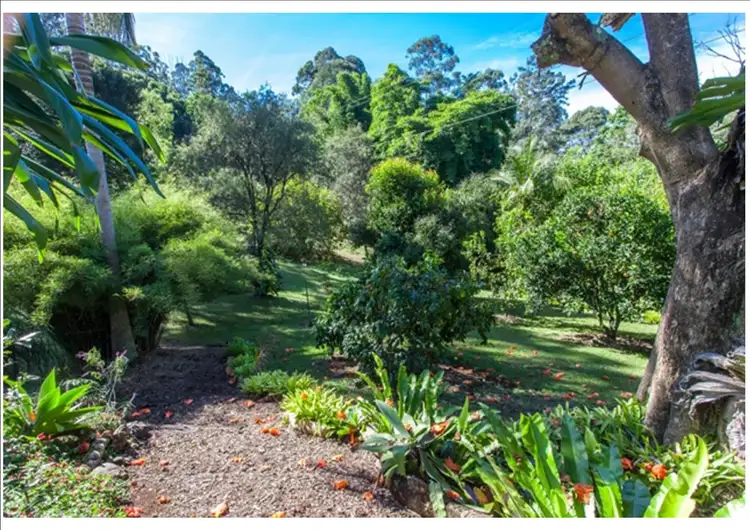 Main view of Homely rural property listing, 186 Repentance Creek Road, Goonengerry NSW 2482