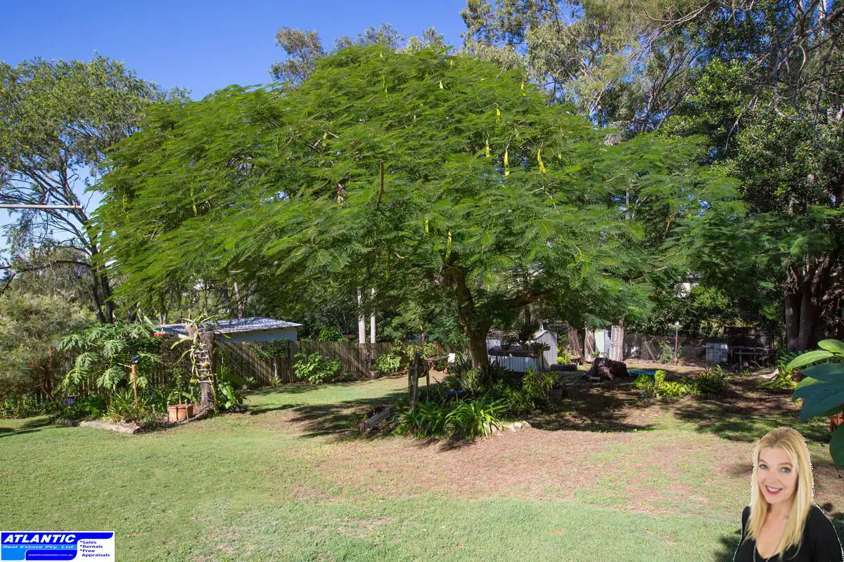 Main view of Homely house listing, 9 Raymond Street, North Ipswich QLD 4305