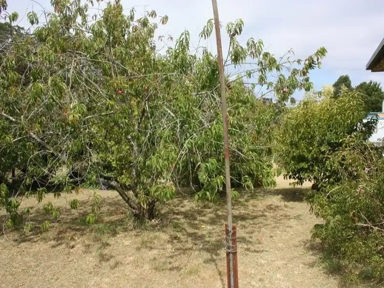 Fourth view of Homely house listing, 78 Scotchtown Road, Smithton TAS 7330
