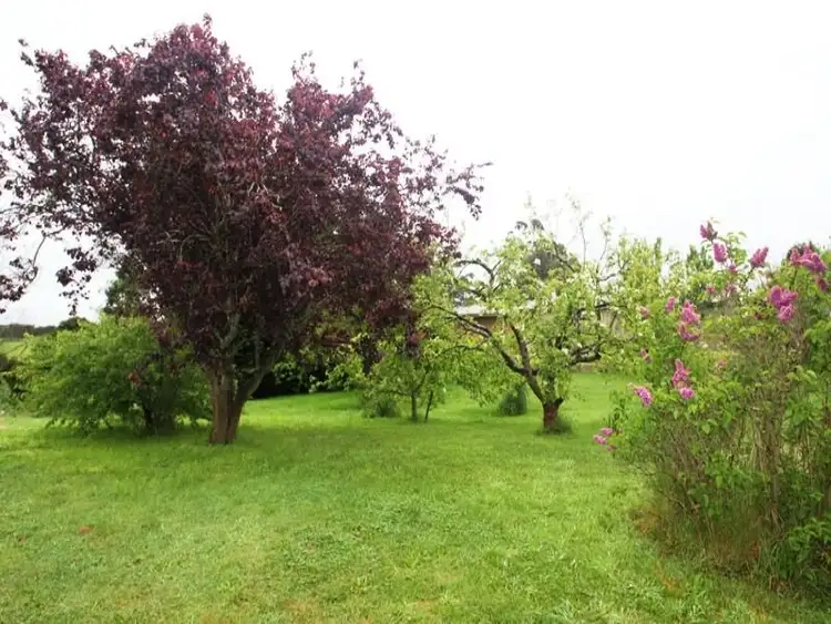 Sixth view of Homely house listing, 78 Scotchtown Road, Smithton TAS 7330