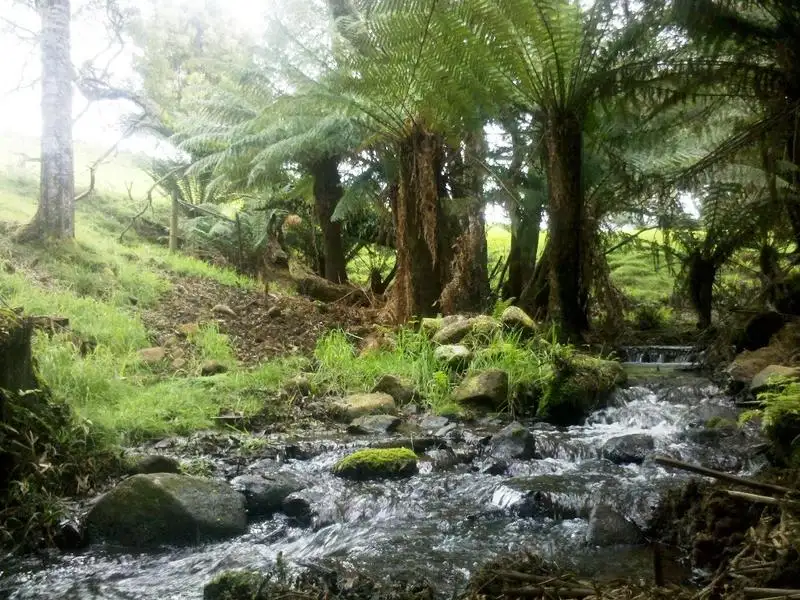Main view of Homely rural property listing, 40 Quinns Road, Mengha TAS 7330