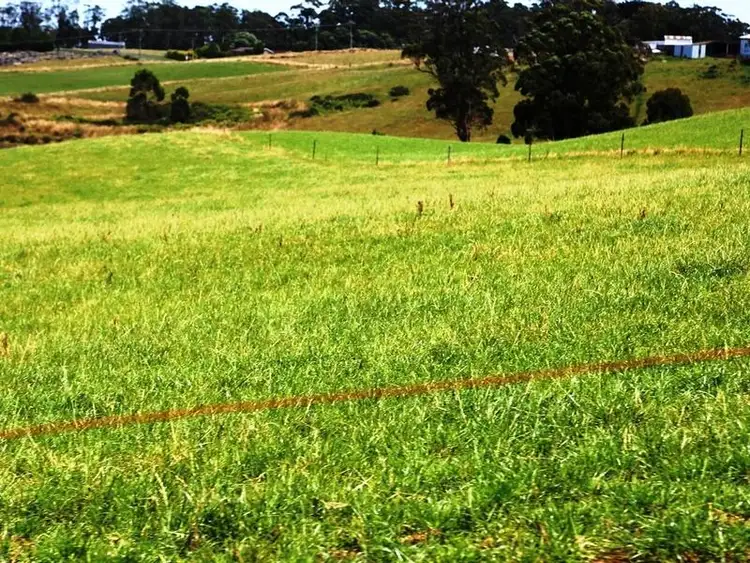 Second view of Homely rural property listing, 23 Purdy's Road, Smithton TAS 7330