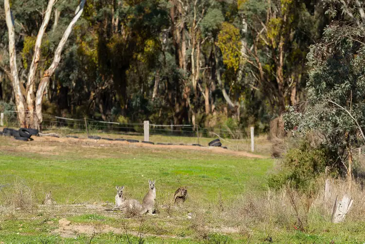 Third view of Homely land listing, 4 Yeats Street, Castlemaine VIC 3450