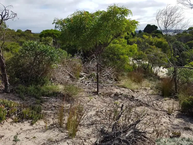 Second view of Homely land listing, LOT 178 Borda Road, Island Beach SA 5222