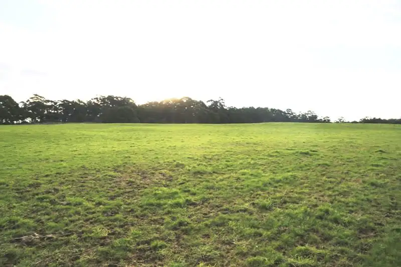Main view of Homely rural property listing, - Faheys Lane, Irishtown TAS 7330