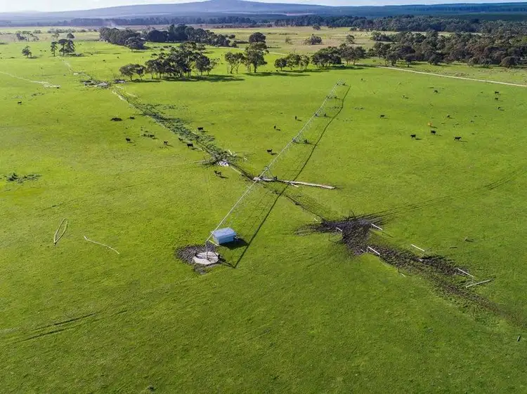 Sixth view of Homely rural property listing, 31289 Princes Highway, Tantanoola SA 5280