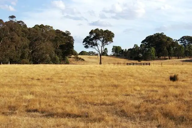 Fifth view of Homely land listing, 529 Beaufort-Lexton Road, Beaufort VIC 3373