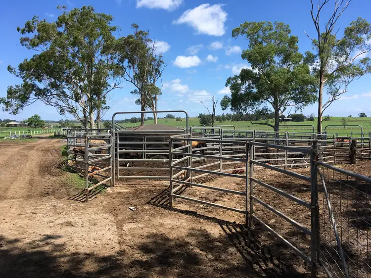 Fifth view of Homely rural property listing, 260 Backmede Road, Backmede NSW 2470