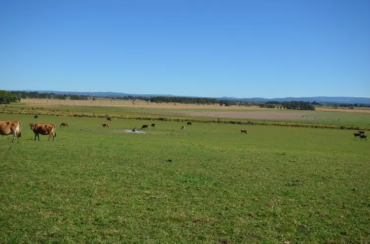 Sixth view of Homely rural property listing, 260 Backmede Road, Backmede NSW 2470